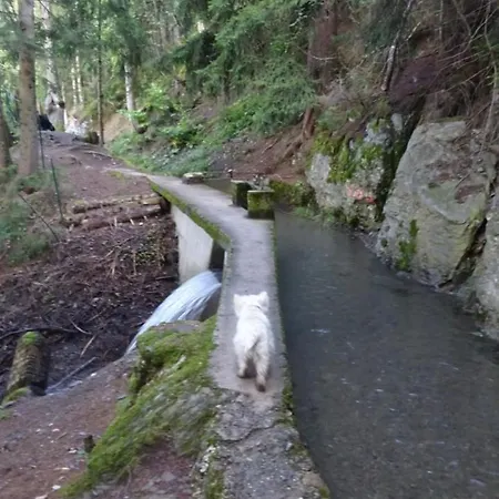 La Grange A Caroline Frühstückspension Ayent