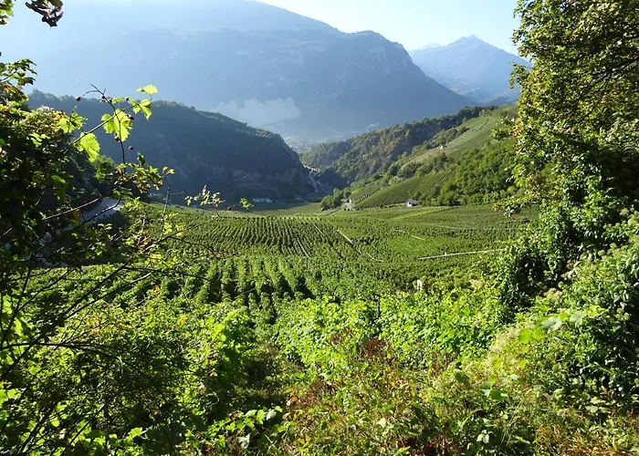 Alojamento de Acomodação e Pequeno-almoço La Grange A Caroline *