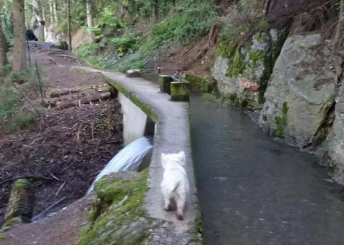 La Grange A Caroline Alojamento de Acomodação e Pequeno-almoço Ayent