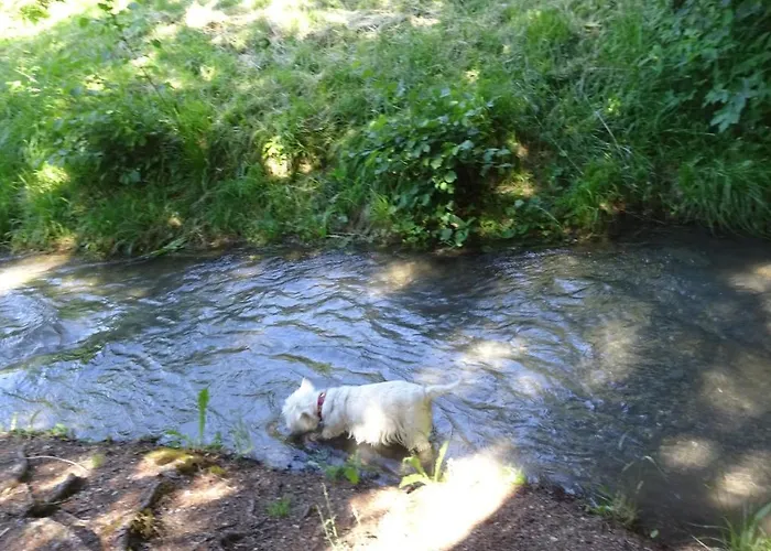 Alojamento de Acomodação e Pequeno-almoço La Grange A Caroline *