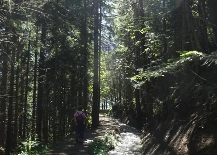 La Grange A Caroline Alojamento de Acomodação e Pequeno-almoço Ayent